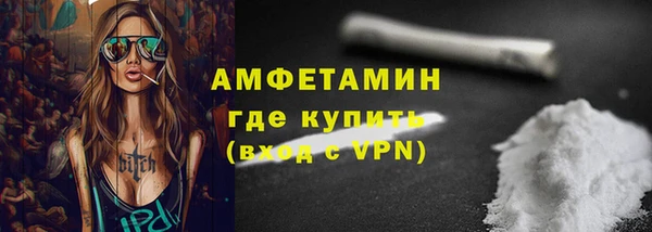 PSILOCYBIN Бородино