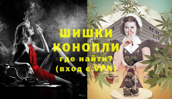 винт Бронницы