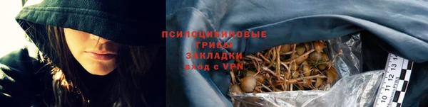 винт Бронницы
