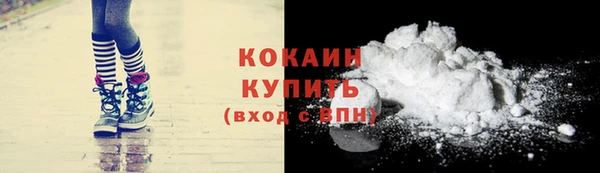 PSILOCYBIN Бородино