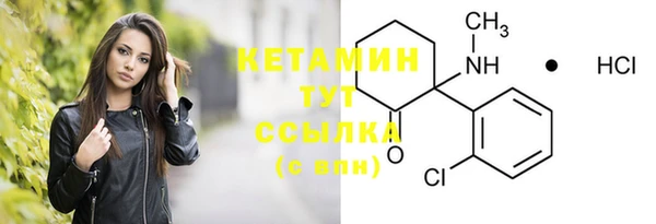 PSILOCYBIN Бородино