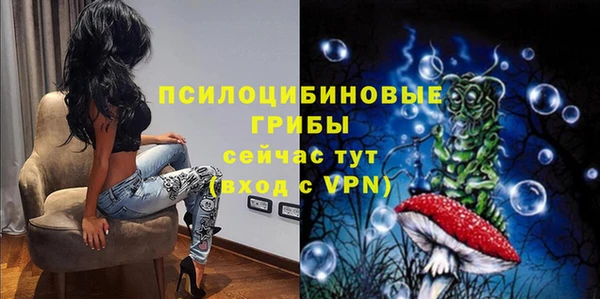PSILOCYBIN Бородино